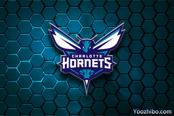 2019-2020赛季<a href=/lanqiubofang/hornets/ target=_blank class=infotextkey>黄蜂</a>队队徽